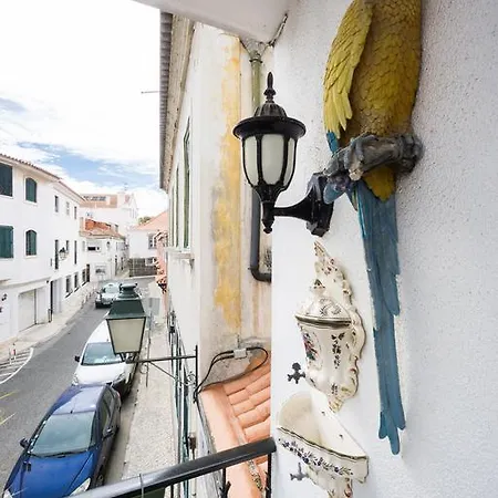 아파트 Apartamento Cerqueira